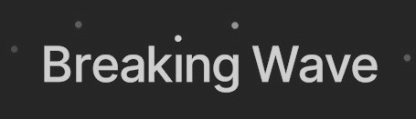 Software Website example